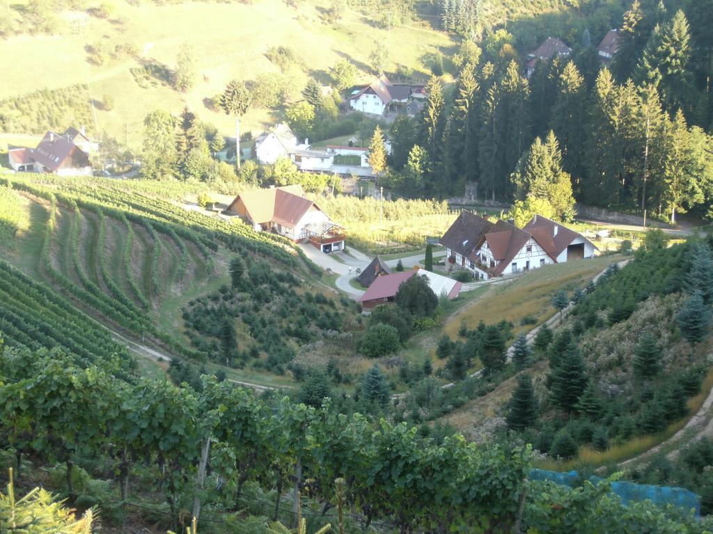 오버키르히 Steinhof 아파트 외부 사진
