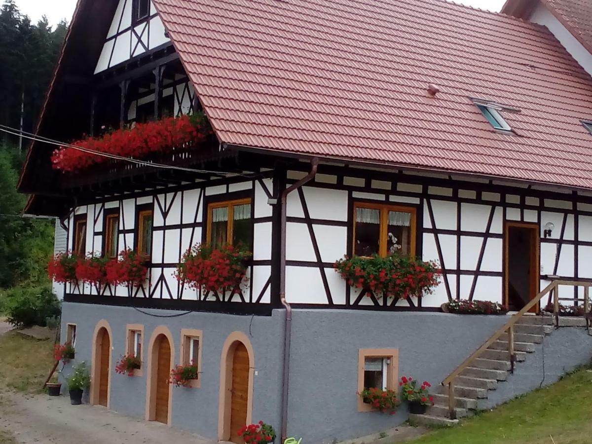 오버키르히 Steinhof 아파트 외부 사진